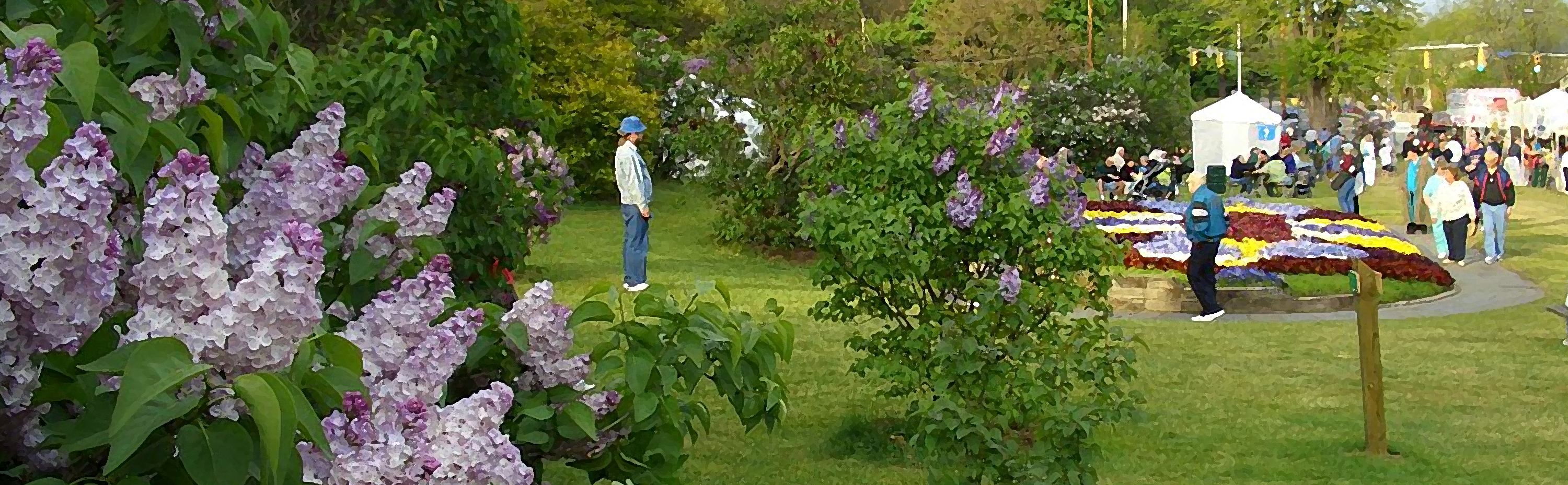 Lilac Festival