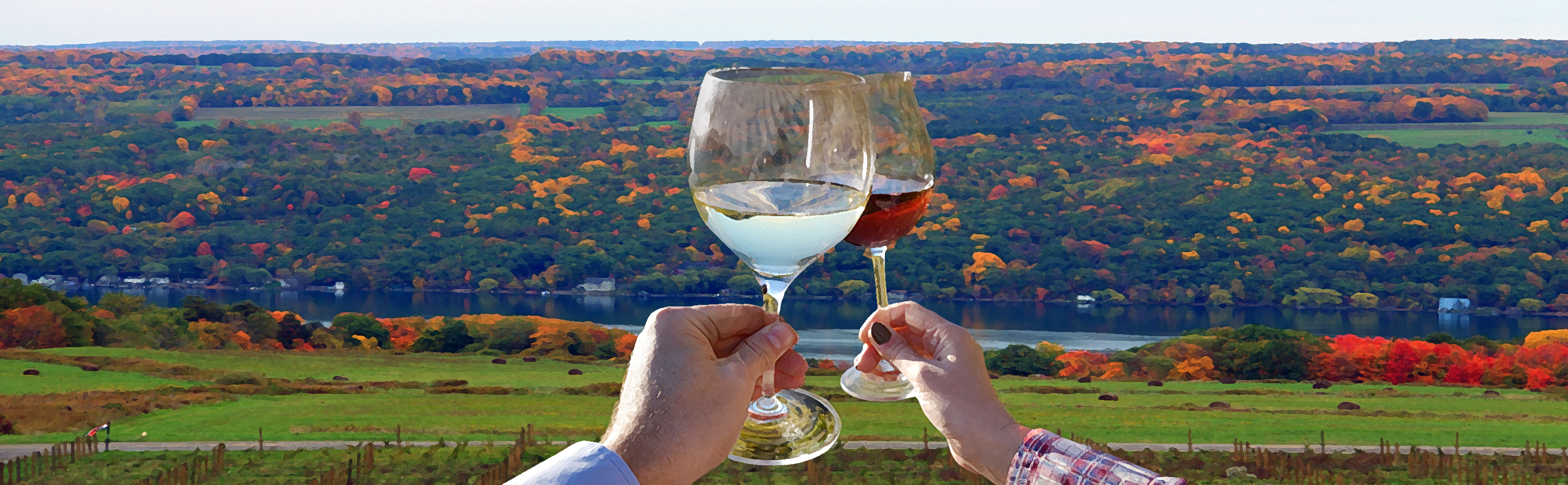 Finger Lakes Wine
